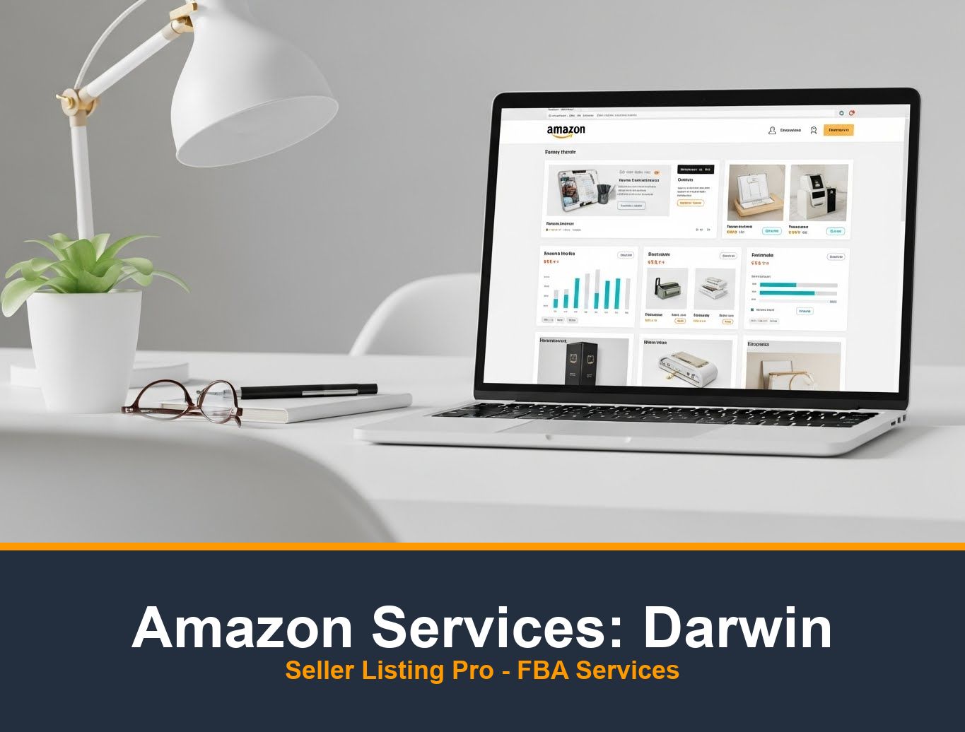Amazon Storefront Design in Darwin
